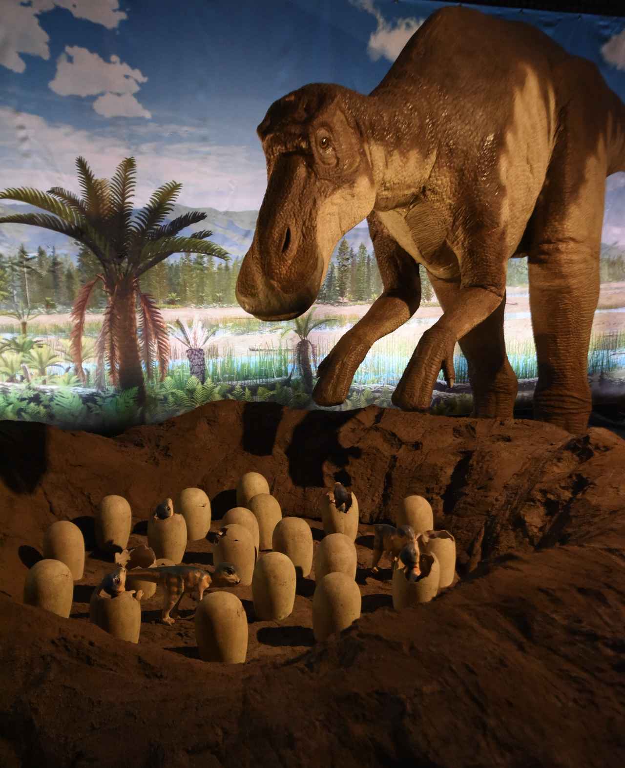 画像: 世界最小は日本で発見!「恐竜の卵=巨大」の常識を覆すウズラサイズの化石と、恐竜卵の不思議 - singles (シングルス) - “おひとりさま”にフォーカスした情報サイト