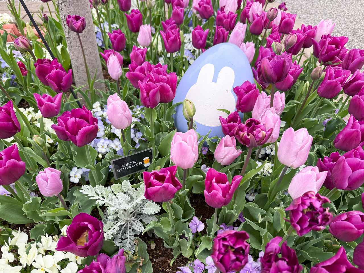 画像: 撮影時、「四季の香 ローズガーデン」では、2026ハッピーイースターというイベント中で、花とたまごのかわいい組み合わせを楽しめました!