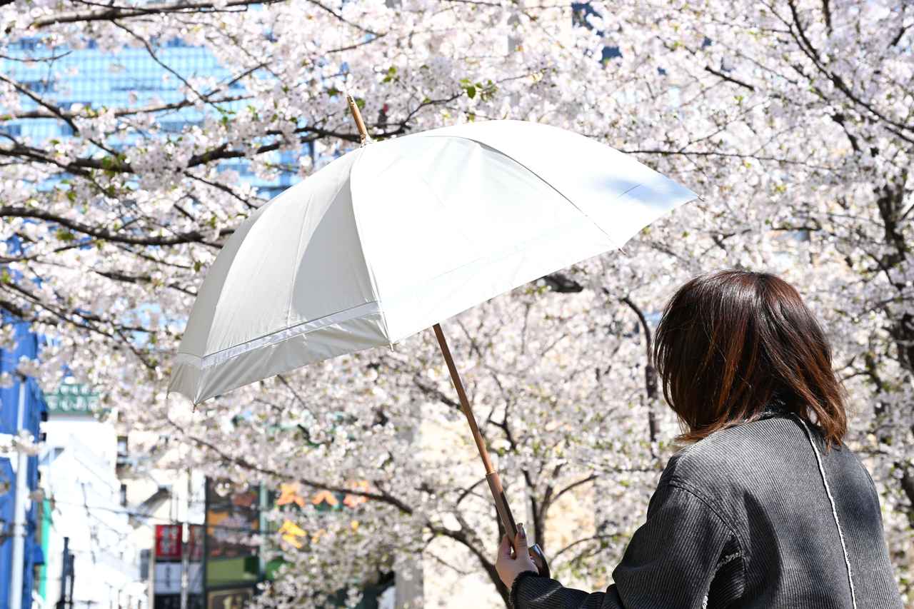 画像: 自分にぴったりな相棒を見つけて、夏を快適に乗り切ろう！