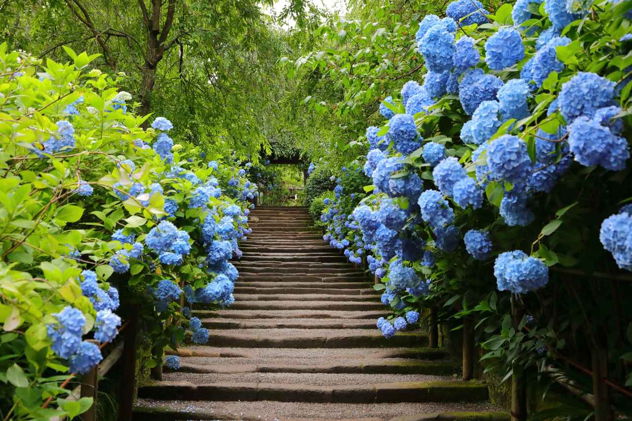 画像: 日帰りで自然を満喫する旅へ出かけよう