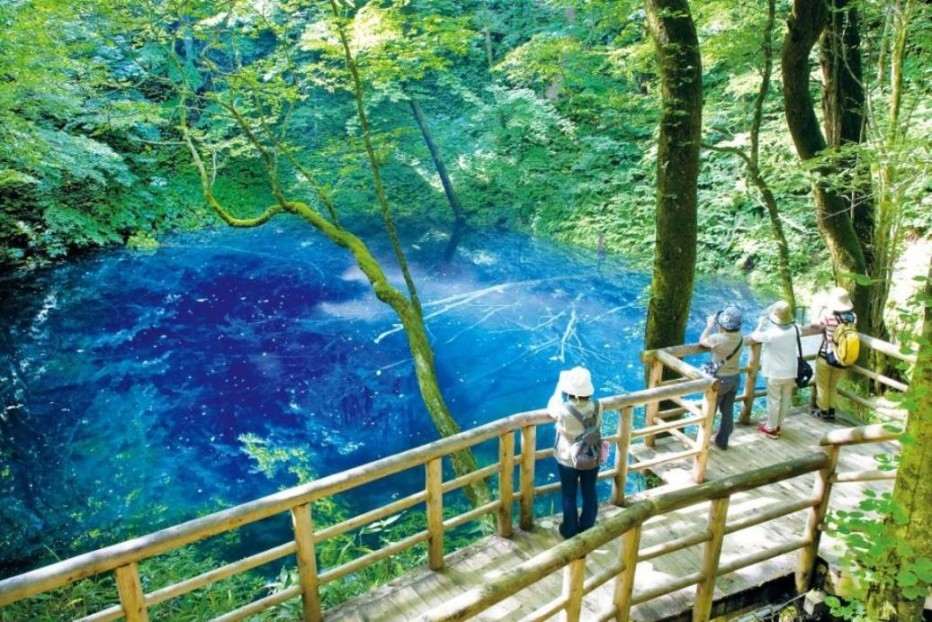 画像: ＜ひとり旅＞『青の神秘に包まれた「世界遺産 白神山地」青池と弘前フレンチ・城下町をめぐる　２日間』｜クラブツーリズム
