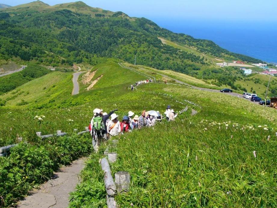 画像: ＜ひとり旅＞『礼文島内は選べる観光でお楽しみ　いざ最北！はじめての利尻・礼文・稚内 ３日間』　バス１人２席／ミニハイキング｜クラブツーリズム