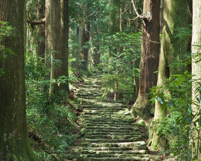 画像: <ひとり旅>『荘厳な世界遺産高野山・熊野三山と絶景の南紀周遊 3日間』|クラブツーリズム