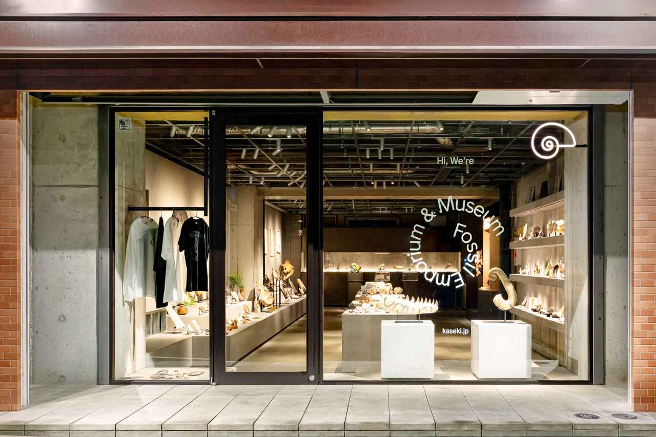 画像: 化石もグッズも店舗でしか購入できないので、お早めに！
