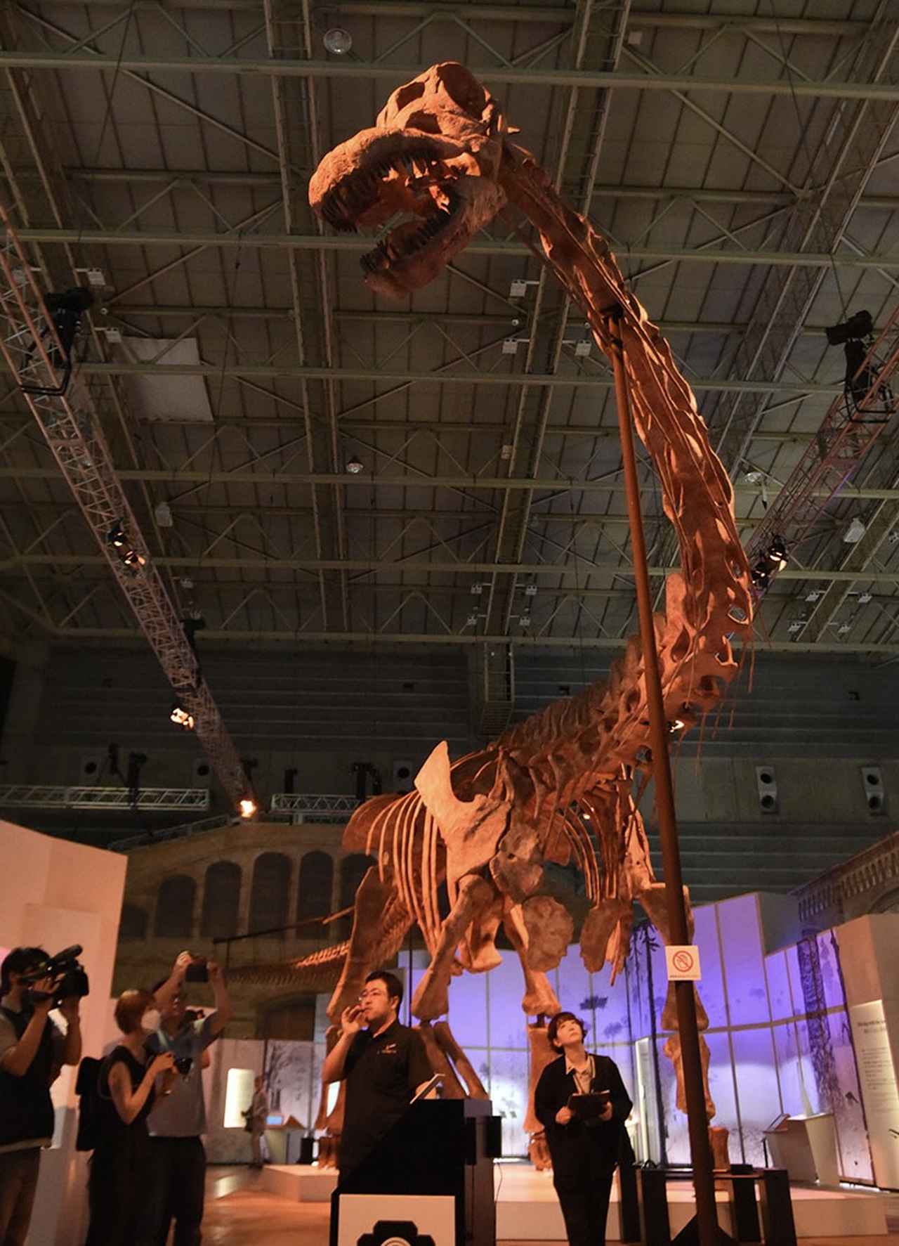 画像2: 巨大恐竜展2024にて撮影