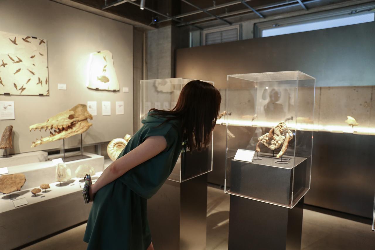 画像: 「買える化石博物館」が東京にやってきた! 恐竜おねえさん激推しの化石は? - singles (シングルス) - “おひとりさま”にフォーカスした情報サイト