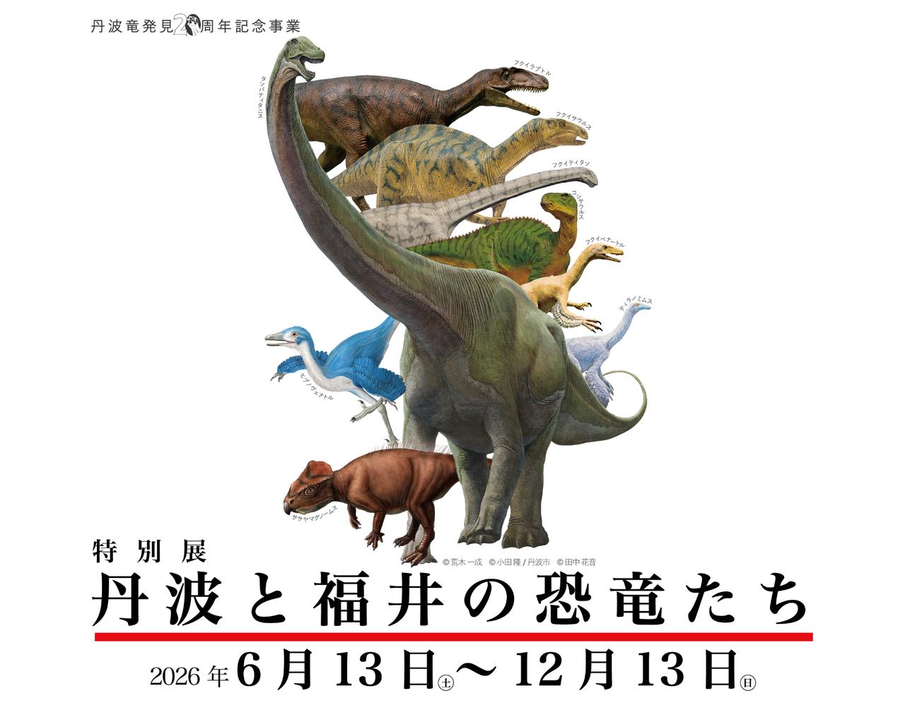 画像: 特別展「丹波と福井の恐竜たち」|丹波竜