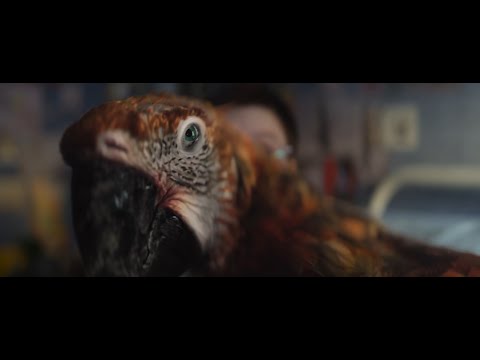 画像: 映画『終わりの鳥』予告編 youtu.be