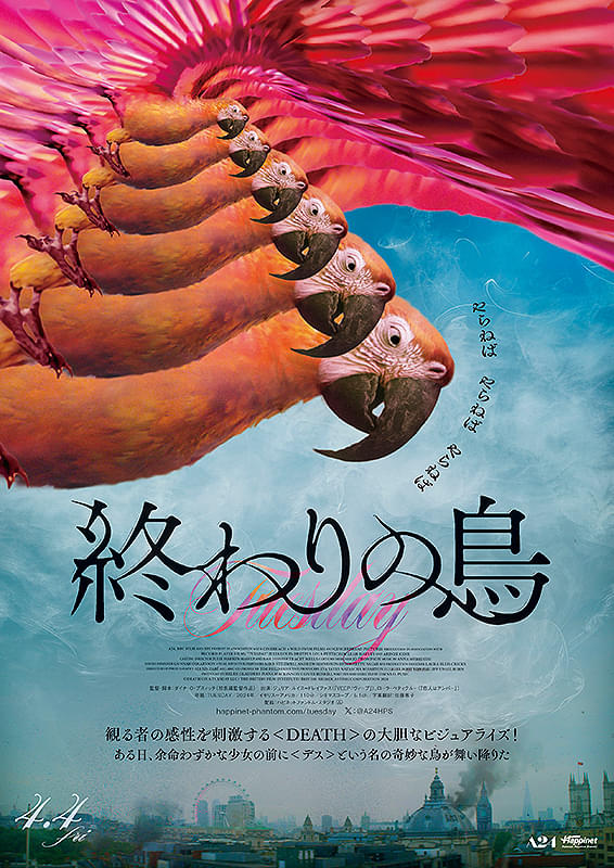 画像1: 命のラストダンス。生と死を巡る最後の物語『終わりの鳥』【シネマ・グレイ File.072】