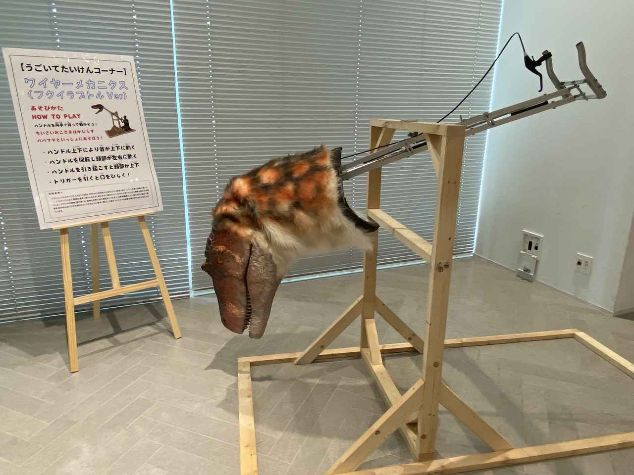 画像3: ダイナソーラボにて撮影