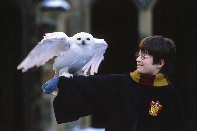 画像: 私の鳥への憧れはここからきています。乗ってほしい All characters and elements© & TMWarner Bros. Entertainment Inc. Publishing Rights © JKR.