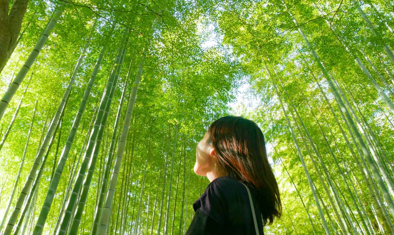 画像: パワースポットで過ごす癒しのひとときを