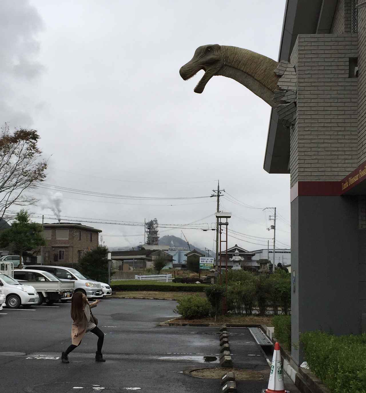 画像: “恐竜”って何? 意外と知らない恐竜の基礎を学ぼう! - singles (シングルス) - “おひとりさま”にフォーカスした情報サイト