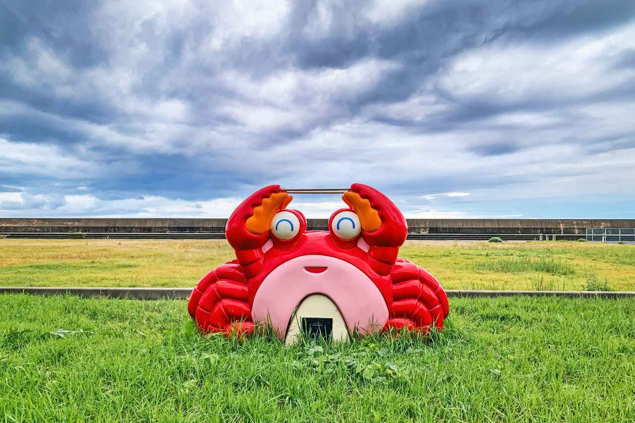 画像: 【予算別ホテル：福井編】若狭牛に越前ガニ！ 食の魅力を堪能できるホテル5選 - singles （シングルス） - “おひとりさま”にフォーカスした情報サイト