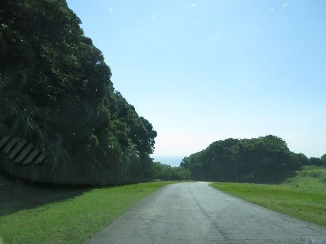 画像: 自分の足で、時には泥くさく進み続ける経験