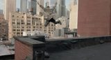 画像2: http://www.kotaku.jp/2014/08/birdman-official-international-trailer.html