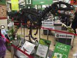 画像2: タカシマヤ タイムズスクエアに福井から恐竜たち がやってきた !