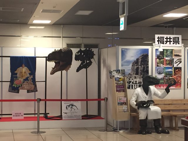 画像2: どんな恐竜がきていたか