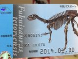 画像: 年間パスポート