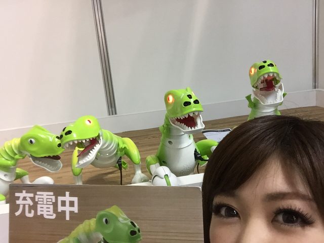 画像: ハロー!ダイノ、販売してます!