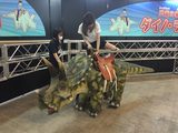 画像: 恐竜に乗れるアトラクションは無料です。