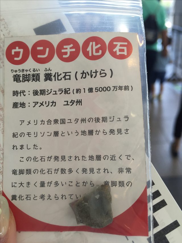 画像: ウンチ化石