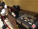 画像: ナンジャタウンで恐竜!