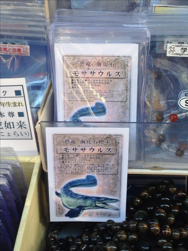 画像: モササウルスが販売されている図