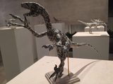 画像: デイノニクス