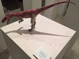 画像: ヘレラサウルス