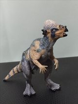 画像: 生田家のパキケファロサウルスフィギュア