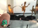 画像: 生田晴香が行った時の恐竜ネイルがラプトくんだったのでラプトくんが待てをしてる風に撮影してみました