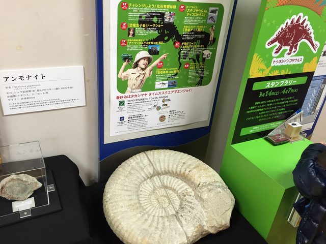 画像: 2015年新宿での恐竜イベントで撮影