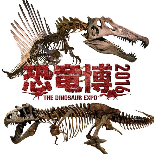 画像: 上/Courtesy of The University of Chicago 下/Courtesy of The Royal Saskatchewan Museum