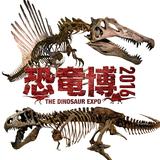 画像: 上/Courtesy of The University of Chicago 下/Courtesy of The Royal Saskatchewan Museum