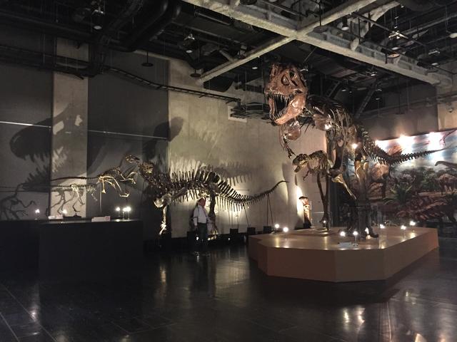画像: ティラノサウルスの頭骨の影がおしゃれ!