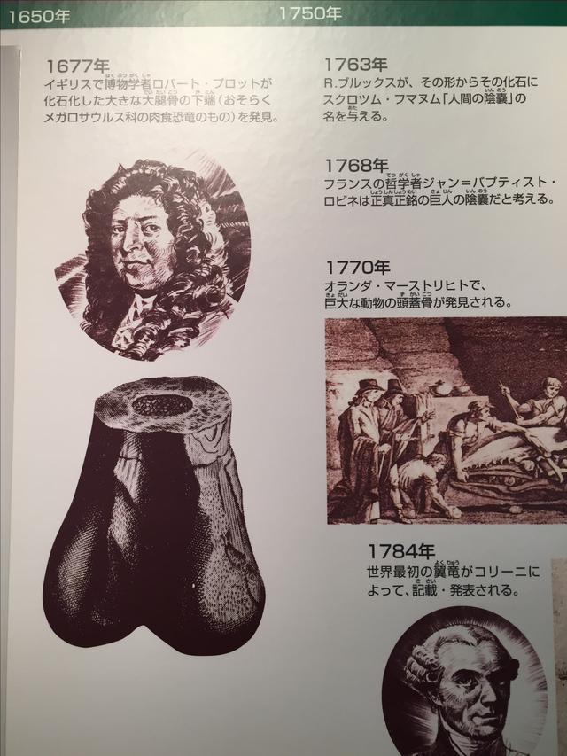 画像1: 福井県立恐竜博物館で撮影。