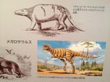 画像2: 福井県立恐竜博物館で撮影。