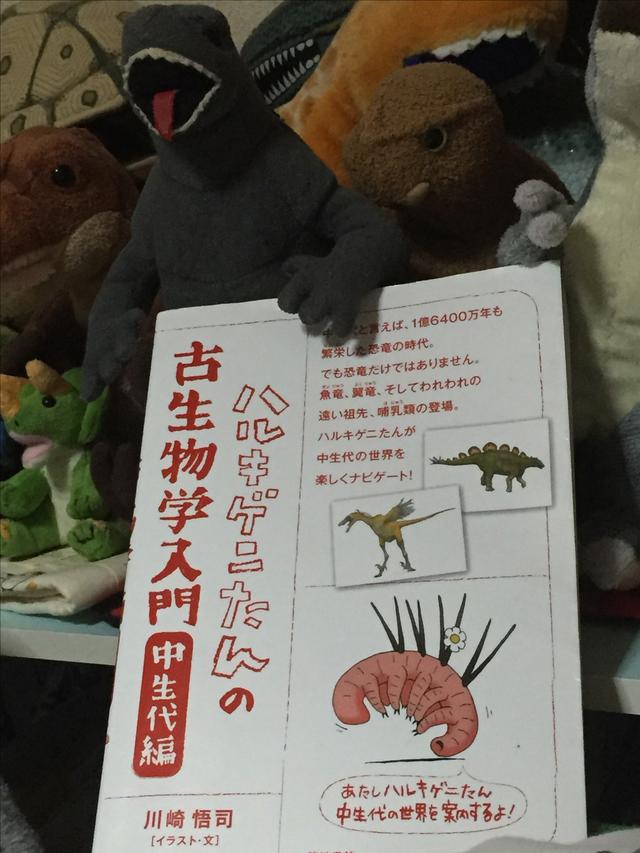 画像: ゴジもオススメ