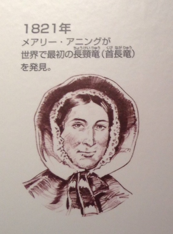 画像: メアリーさんは世界で最初の首長竜も発見しています。