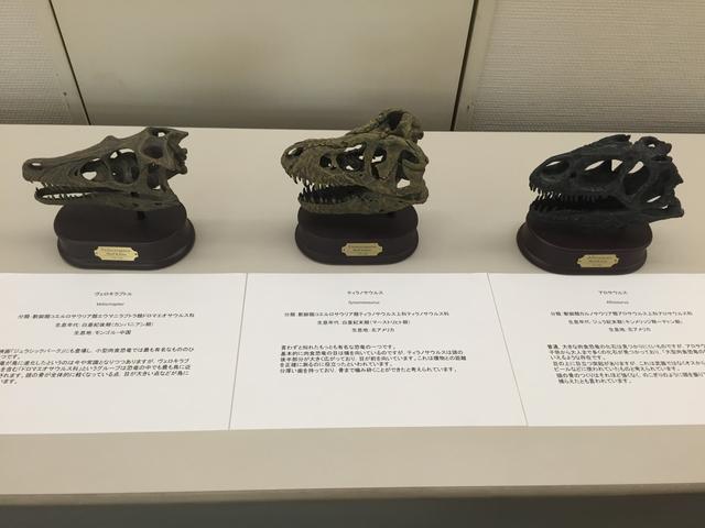 画像: 恐竜テーマの学祭イベントはあるのか?!
