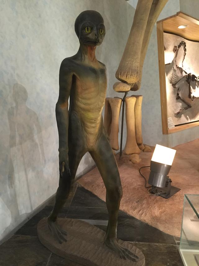 画像2: 群馬県立自然史博物館は面白い要素満載!