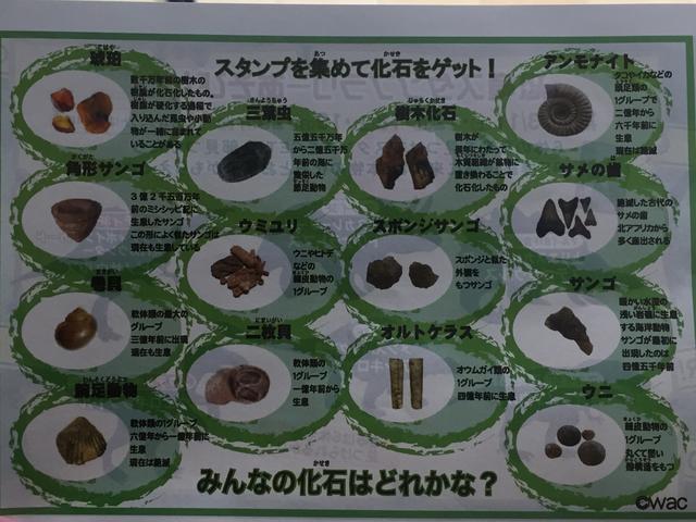 画像: どれかが貰える!