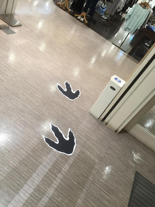 画像: 恐竜の足跡があるのでスタンプの場所がわかりやすい!