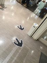 画像: 恐竜の足跡があるのでスタンプの場所がわかりやすい!