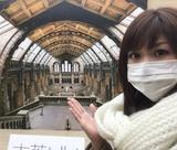 画像: パネルがあるのでイギリスに来た気分が味わえます。