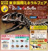 画像: tima.co.jp