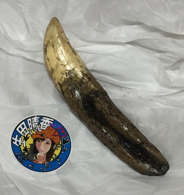 画像2: haruru327.militaryblog.jp