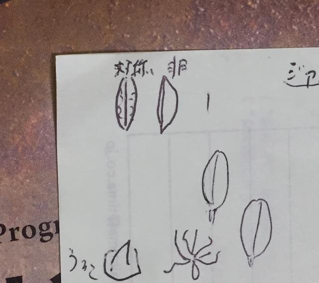 画像1: 生田メモ