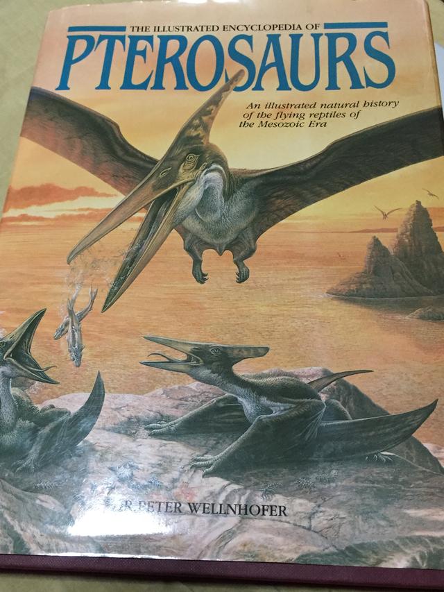 画像: がっつり翼竜を楽しみたい方にオススメ専門書